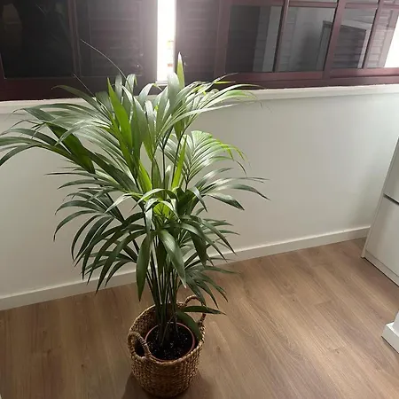 Apartment Break By Isa *