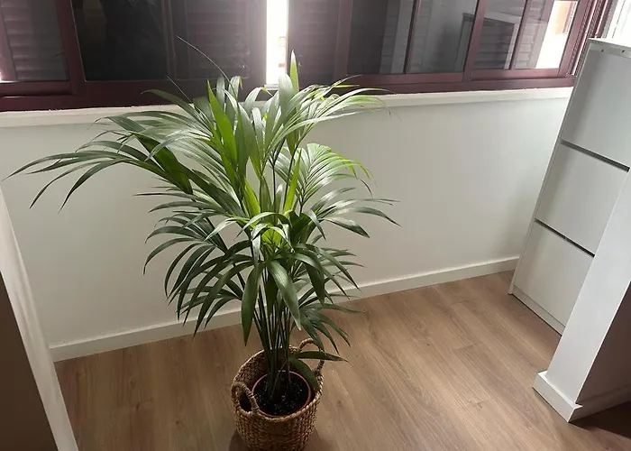 Apartment Break By Isa *